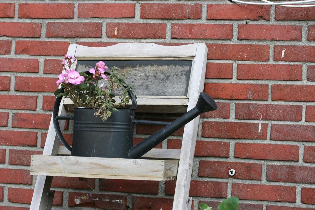 De Johanneshoeve Westerhaar-Vriezenveensewijk エクステリア 写真